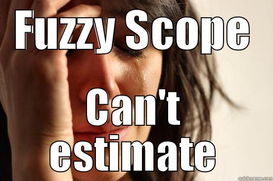 FUZZY SCOPE CAN'T ESTIMATE First World Problems