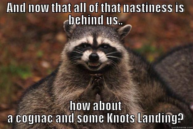 AND NOW THAT ALL OF THAT NASTINESS IS BEHIND US.. HOW ABOUT A COGNAC AND SOME KNOTS LANDING? Evil Plotting Raccoon
