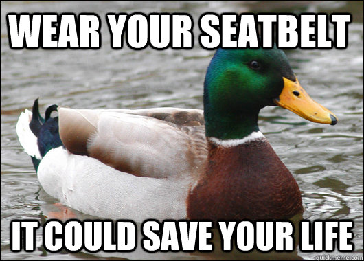 Wear your seatbelt It could save your life - Wear your seatbelt It could save your life  Actual Advice Mallard