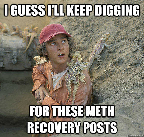 I guess I'll keep digging for these meth recovery posts - I guess I'll keep digging for these meth recovery posts  West Coast Redditor