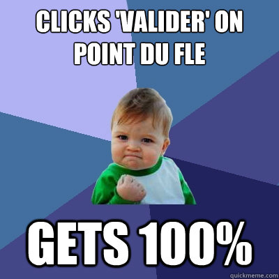 Clicks 'Valider' on point du fle Gets 100%  Success Kid