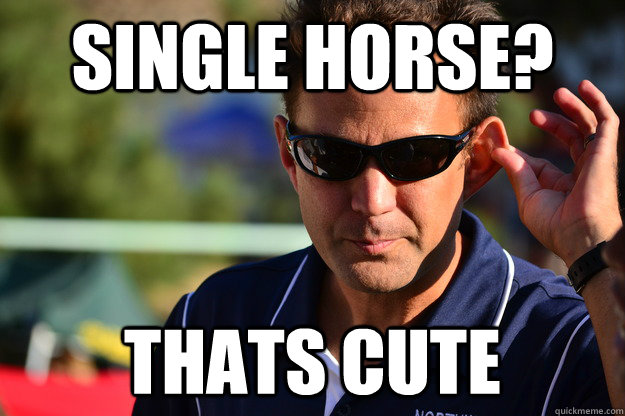 Single Horse? Thats cute  