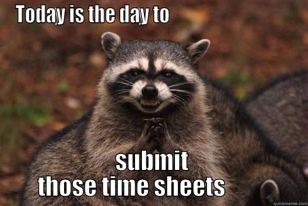 TODAY IS THE DAY TO                                  SUBMIT THOSE TIME SHEETS          Evil Plotting Raccoon