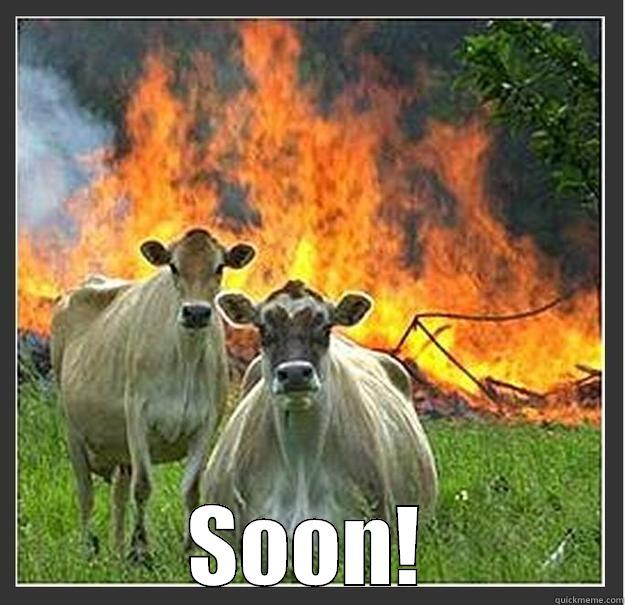 Eat More Chikin! -  SOON! Evil cows