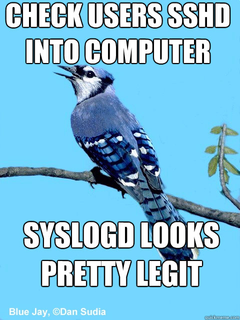 check users sshd into computer syslogd looks pretty legit  Blue Team Bird