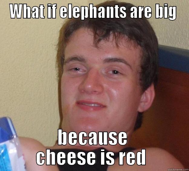 WHAT IF ELEPHANTS ARE BIG BECAUSE CHEESE IS RED  10 Guy