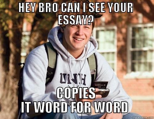 HEY BRO CAN I SEE YOUR ESSAY? COPIES IT WORD FOR WORD  College Freshman