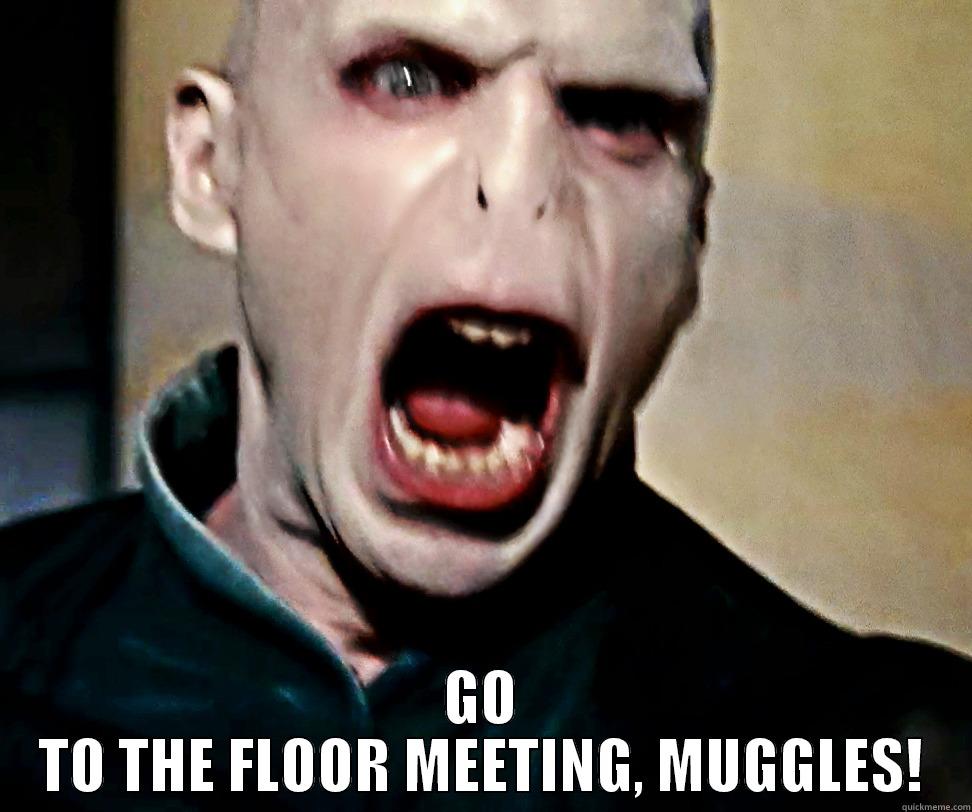 Voldemort Meme -  GO TO THE FLOOR MEETING, MUGGLES! Misc