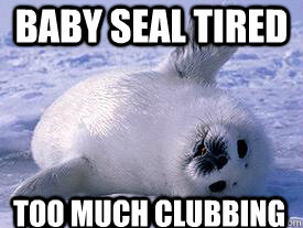 Baby seal tired  Too much clubbing  