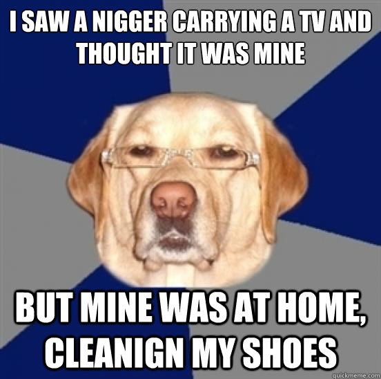 i saw a nigger carrying a tv and thought it was mine but mine was at home, cleanign my shoes  