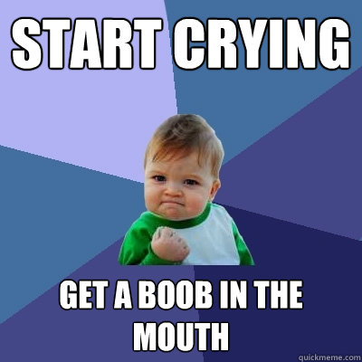 Start crying get a boob in the mouth  Success Kid