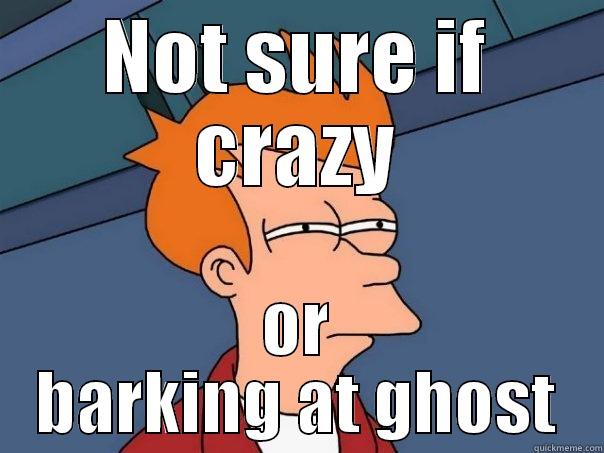 NOT SURE IF CRAZY OR BARKING AT GHOST Futurama Fry