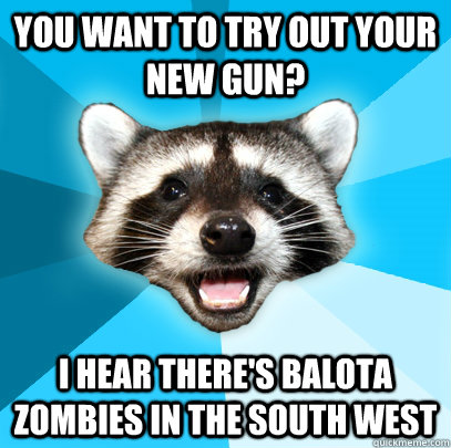 YOU WANT TO TRY OUT YOUR NEW GUN? I HEAR THERE'S BALOTA ZOMBIES IN THE SOUTH WEST  Lame Pun Coon