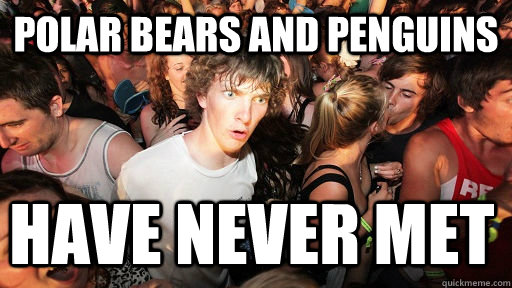 polar bears and penguins have never met   Sudden Clarity Clarence