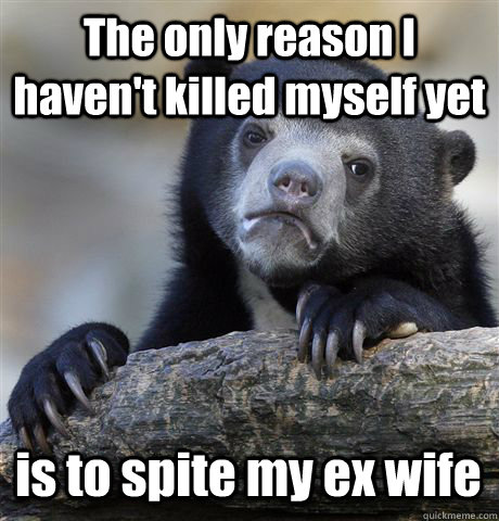 The only reason I haven't killed myself yet is to spite my ex wife   Confession Bear