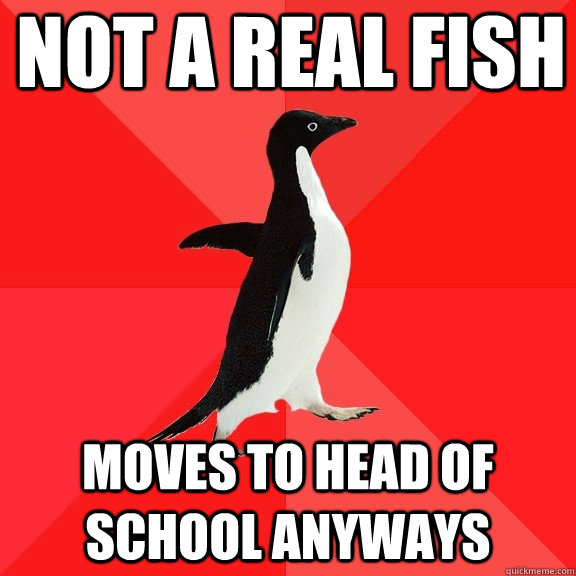 Not a real fish moves to head of school anyways  Socially Awesome Penguin