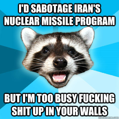 I'D SABOTAGE IRAN'S NUCLEAR MISSILE PROGRAM BUT I'M TOO BUSY FUCKING SHIT UP IN YOUR WALLS  Lame Pun Coon