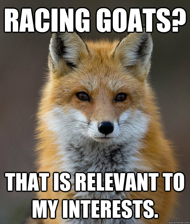 RACING GOATS? That is relevant to my interests.  Fun Fact Fox