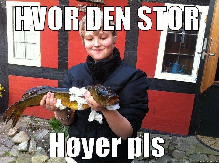 HVOR DEN STOR HØYER PLS Misc