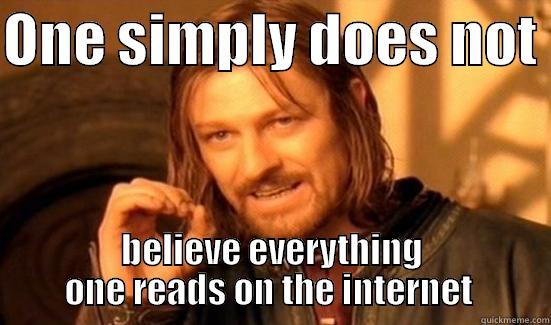 ONE SIMPLY DOES NOT  BELIEVE EVERYTHING ONE READS ON THE INTERNET  Boromir