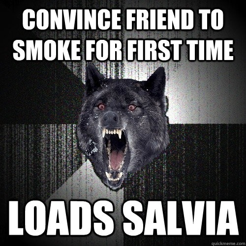 convince friend to smoke for first time loads salvia  Insanity Wolf