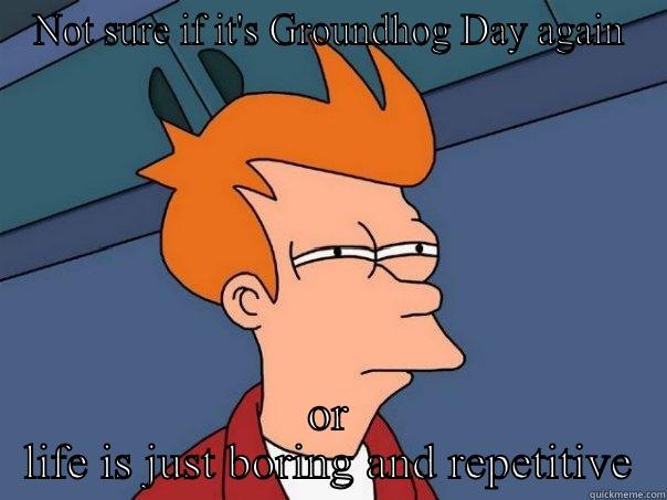 NOT SURE IF IT'S GROUNDHOG DAY AGAIN OR LIFE IS JUST BORING AND REPETITIVE Futurama Fry