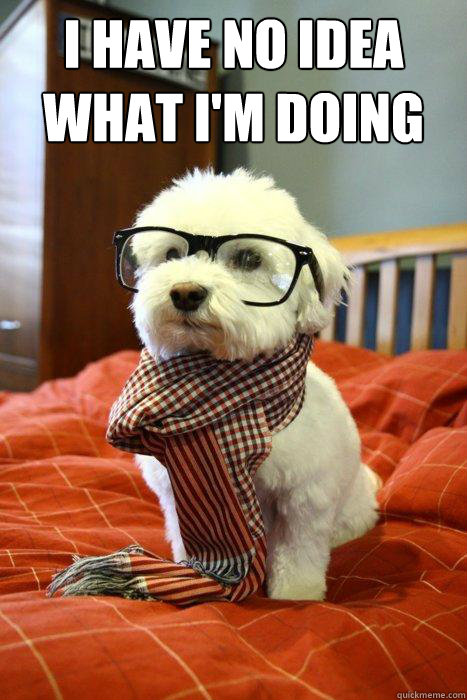 I have no idea what I'm doing   Hipster Dog