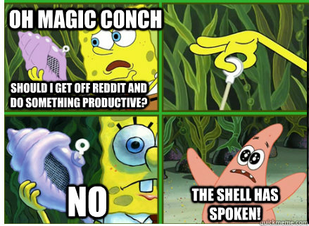 Oh Magic Conch NO The SHELL HAS SPOKEN! Should I get off Reddit and do something productive?  Magic Conch Shell