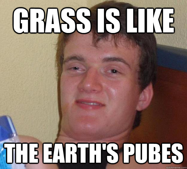 Grass is like the Earth's pubes - Grass is like the Earth's pubes  10 Guy