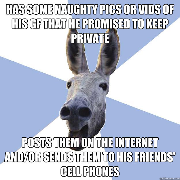 has some naughty pics or vids of his gf that he promised to keep private posts them on the internet and/or sends them to his friends' cell phones  Jackass Boyfriend