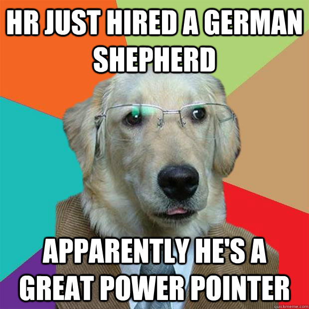 HR just hired a German Shepherd apparently he's a great power pointer  Business Dog