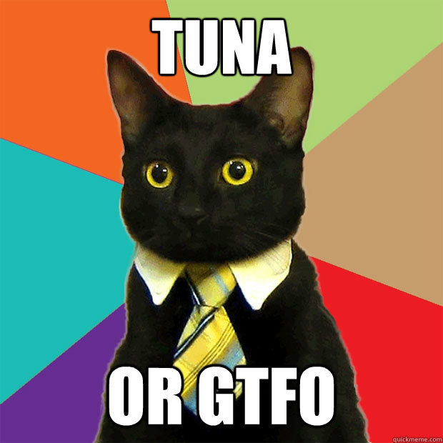 TUNa Or GTFO  Business Cat