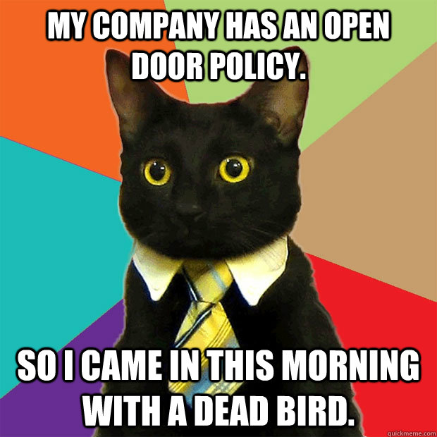 My company has an open door policy. So I came in this morning with a dead bird.  Business Cat