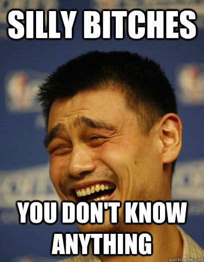 silly bitches you don't know anything - silly bitches you don't know anything  Yao Ming