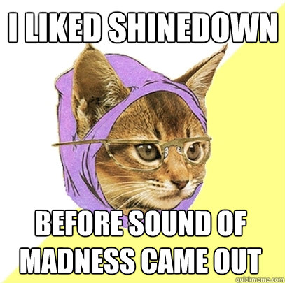 I liked shinedown  before sound of madness came out - I liked shinedown  before sound of madness came out  Hipster Kitty