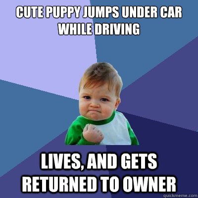 Cute puppy jumps under car while driving Lives, and gets returned to owner  Success Kid