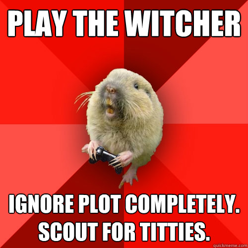 Play The Witcher Ignore plot completely. Scout for titties.  - Play The Witcher Ignore plot completely. Scout for titties.   Gaming Gopher