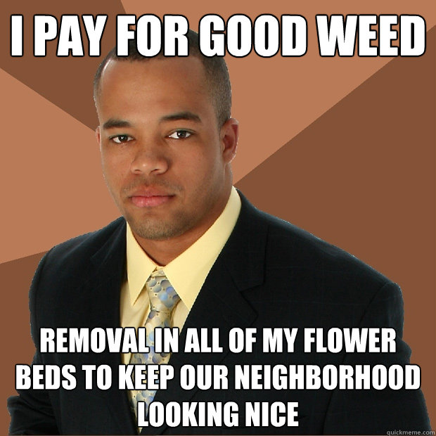 I pay for good weed removal in all of my flower beds to keep our neighborhood looking nice  Successful Black Man