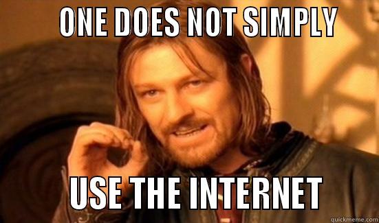        ONE DOES NOT SIMPLY            USE THE INTERNET      Boromir