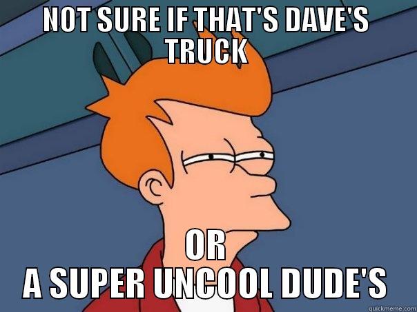 Not Sure If Poop Balls - NOT SURE IF THAT'S DAVE'S TRUCK OR A SUPER UNCOOL DUDE'S Futurama Fry