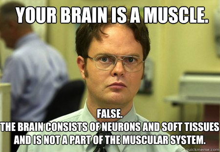 Your brain is a muscle. FALSE.  
The brain consists of neurons and soft tissues and is not a part of the muscular system. - Your brain is a muscle. FALSE.  
The brain consists of neurons and soft tissues and is not a part of the muscular system.  Schrute