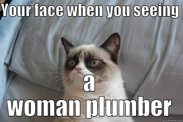 YOUR FACE WHEN YOU SEEING  A WOMAN PLUMBER Grumpy Cat