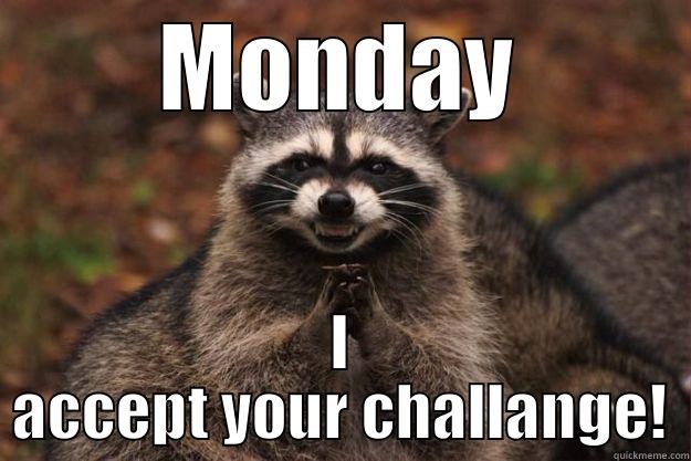 MONDAY I ACCEPT YOUR CHALLANGE! Evil Plotting Raccoon