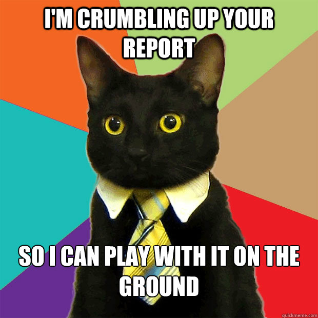 I'm Crumbling up your report So i can play with it on the ground  Business Cat