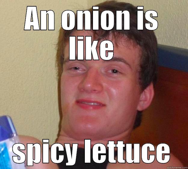 Told My Boyfriend This One Late Last Night - AN ONION IS LIKE SPICY LETTUCE 10 Guy