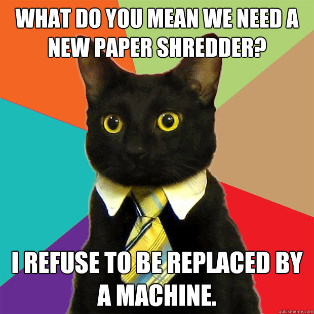 What do you mean we need a new paper shredder? I refuse to be replaced by a machine. - What do you mean we need a new paper shredder? I refuse to be replaced by a machine.  Business Cat