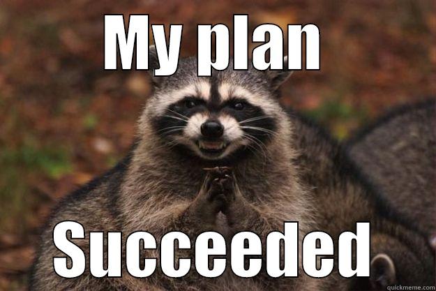 My plan Succeeded! - MY PLAN SUCCEEDED Evil Plotting Raccoon