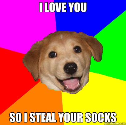 I LOVE YOU SO I STEAL YOUR SOCKS  Advice Dog