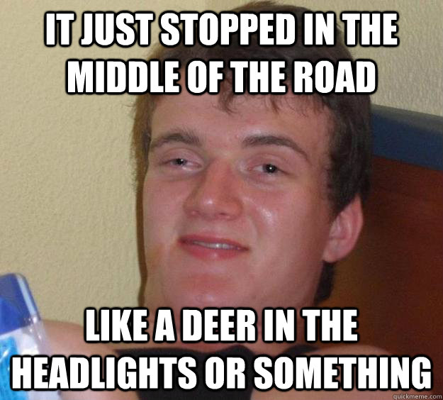 it just stopped in the middle of the road like a deer in the headlights or something - it just stopped in the middle of the road like a deer in the headlights or something  10 Guy