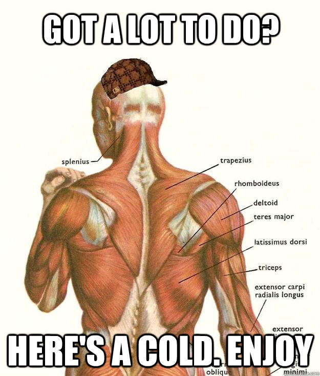 Got a lot to do? Here's a cold. Enjoy  Scumbag body